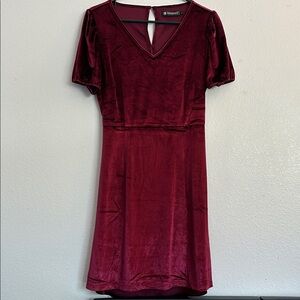 Allegra K Rich Burgundy Velvet Dress